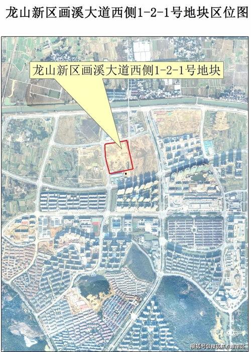 官方爆料新植物剪影视频,神秘新植物即将亮相! 第2张 官方爆料新植物剪影视频,神秘新植物即将亮相! 第2张